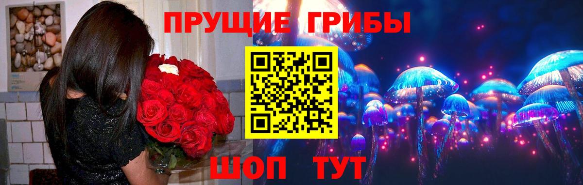купить   Галлюциногенные грибы прущие грибы  Вход с VPN  Галлюциногенные грибы GOLDEN TEACHER  Миасс 